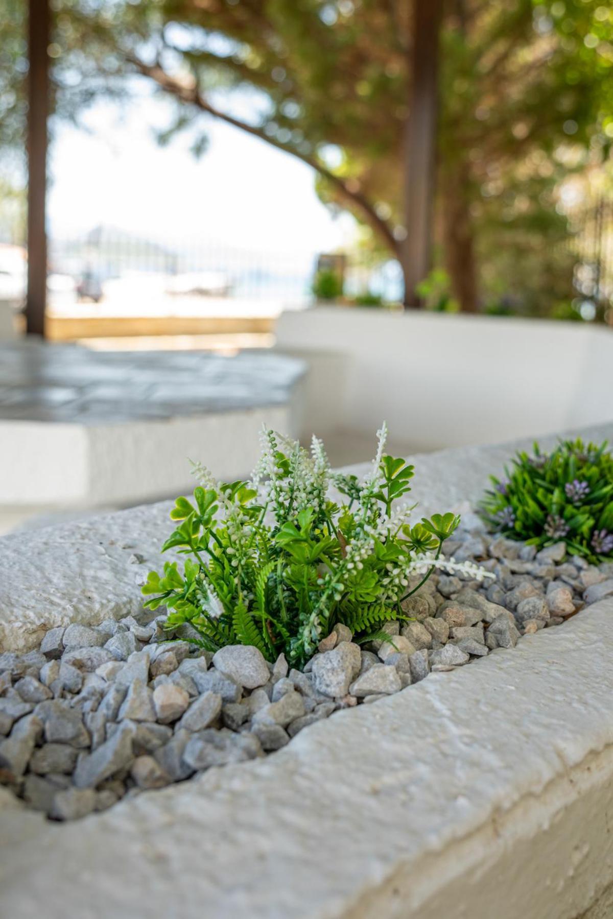 Alkis Guest House By Aegiankazarte Kapotidhes Dış mekan fotoğraf